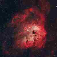 Nebulosa IC410 Y Los Renacuajos